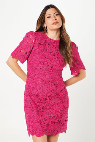 Occasion Corded Lace Shift Dress