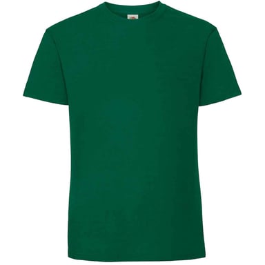 Fruit Of The Loom Mens Iconic 195 Ringspun Premium Tshirt (College Green)