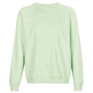 SOLS Unisex Adult Columbia Sweatshirt (Creamy Green)