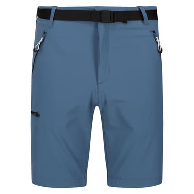 Regatta Mens Xert III Stretch Shorts (Stellar)