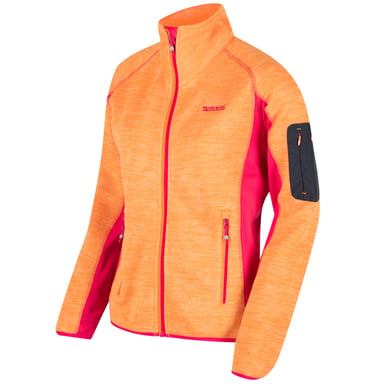 Regatta Great Outdoors Womens/Ladies Laney III Fleece Jacket