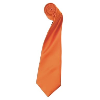 Premier Colours Collection Satin Tie (Terracotta)