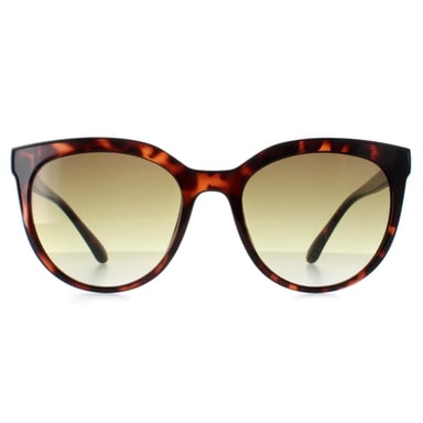 Calvin Klein CK22552S 240 havana brillante marrÃ³n degradado gafas de sol