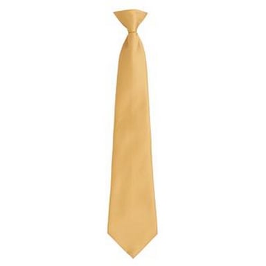 Premier Mens Fashion ”Colours” Work Clip On Tie (Gold)