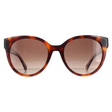 Tommy Hilfiger gafas de sol Th 1885/s 05L Ha Havana Marrón degradado