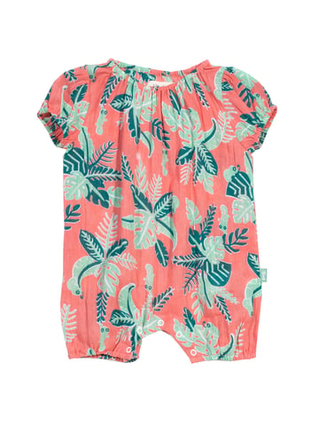 Kite Clothing Chameleon Romper