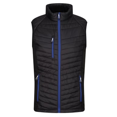 Regatta Mens Navigate Quilted Hybrid Gilet (Black/New Royal)