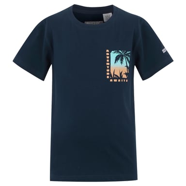 Regatta Childrens/Kids Bosley VIII Parasailing T-Shirt (Navy)