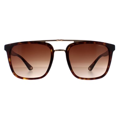 Police SPLB41 Gafas de sol Origins 35 0722 havana y degradado marrón dorado