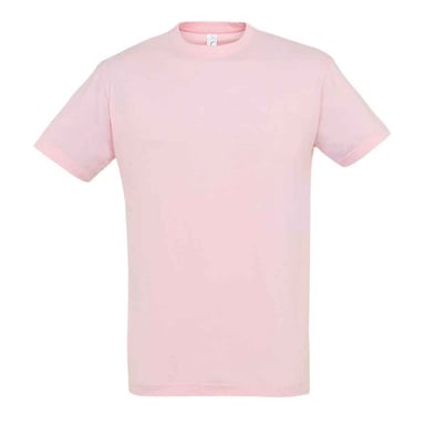 SOLS Unisex Adult Regent T-Shirt (Medium Pink)