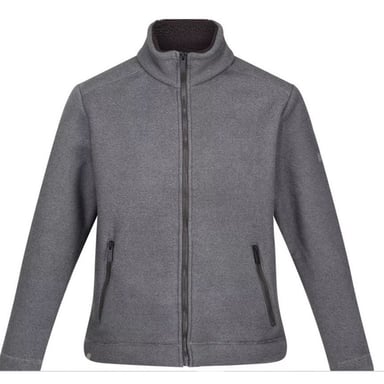 Regatta Mens Garrian II Full Zip Fleece Jacket (Ash)
