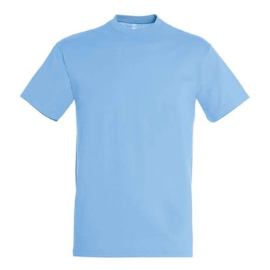 SOLS Unisex Adult Regent T-Shirt (Sky Blue)