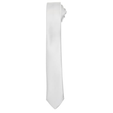 Premier Unisex Adult Slim Tie (Silver)