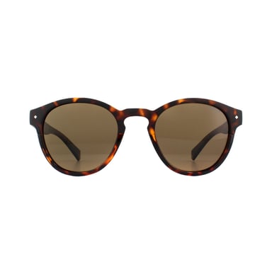 Gafas de sol Polaroid 6042/S 086 SP Bronce Oscuro Havana Polarizado