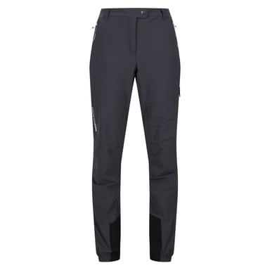 Regatta Womens/Ladies Mountain III Walking Trousers (Seal Grey)