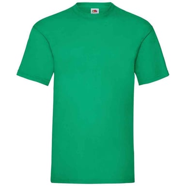 Fruit of the Loom Mens Valueweight T-Shirt (Kelly Green)