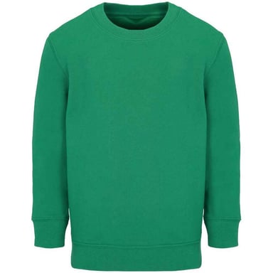 SOLS Childrens/Kids Columbia Sweatshirt (Kelly Green)