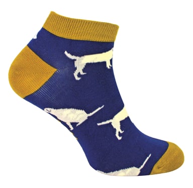 Calcetines Bajos Transpirables para Hombre - Labrador (Azul Marino)
