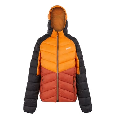 Regatta Mens Dalent Hooded Insulated Jacket (Fox/Red Ochre)