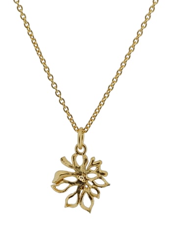 Orphelia Women's 925 Sterling Silver Chain with Pendant - Gold ZH-6027/2