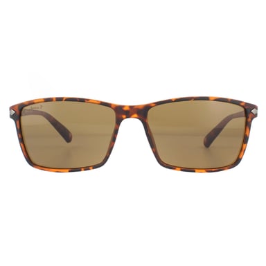 Montana Gafas de sol MP51 D Marrón Tortuga Rubbertouch Marrón Polarizadas
