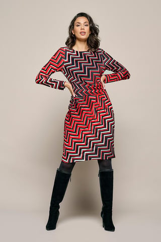 Eloise Print Jurk Rood / Multi