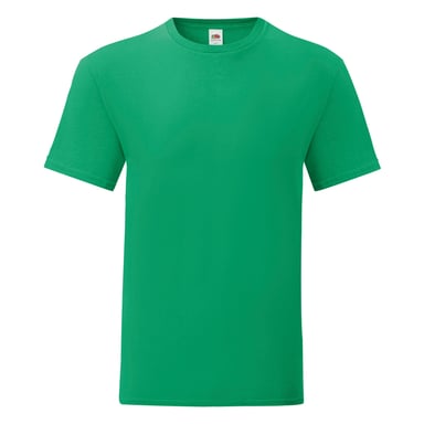 Fruit Of The Loom Mens Iconic T-Shirt (Pack of 5) (Kelly Green)