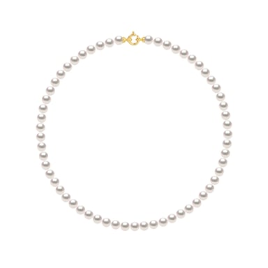 Cuello de rango Akoya japonés Ronda 6.5 mm Cierre de lujo de 18K White