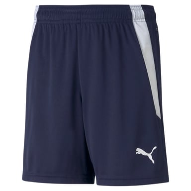 PUMA teamLIGA Youth Football Shorts