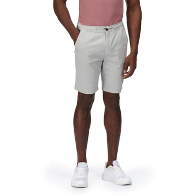 Regatta Mens Albie Shorts (Silver Grey)