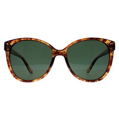 Montana MP74 C brillante havana suave demi g15 verde gafas de sol polarizadas