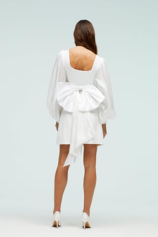Glossy Organza Sleeve And Statement Bow Back Mini Dress