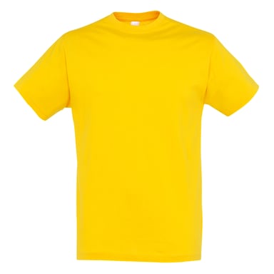 SOLS Mens Regent Short Sleeve T-Shirt (Gold)