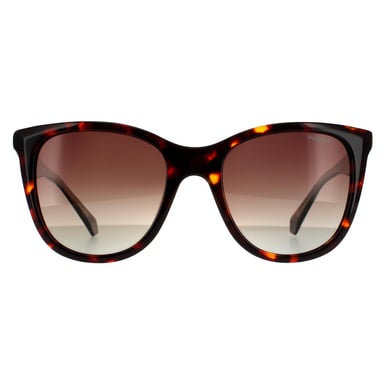 Polaroid Square Womens Havana Brown Gradient Polarized Sunglasses