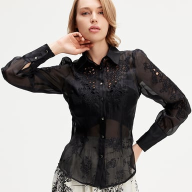Embroidered Organza blouse