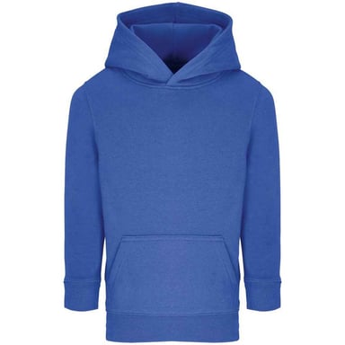 SOLS Childrens/Kids Connor Hoodie (Royal Blue)