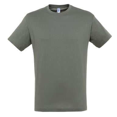 SOLS Mens Regent Short Sleeve T-Shirt (Zinc)