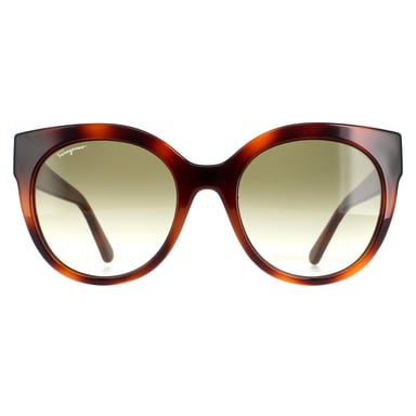 Salvatore Ferragamo Cat Eye Señoras Tortuga Verde SF1031s