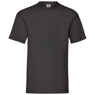 Fruit of the Loom Mens Valueweight T-Shirt (Black)