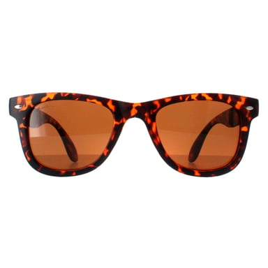 Gafas de sol polarizadas Montana FS40 A marr�n tortuga
