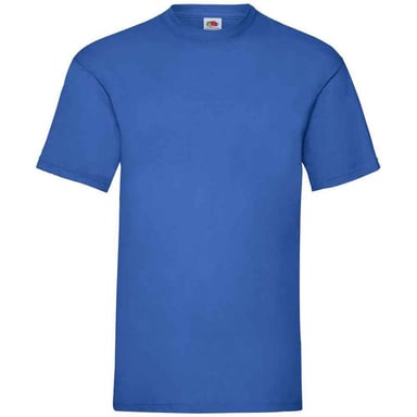 Fruit of the Loom Mens Valueweight T-Shirt (Royal Blue)