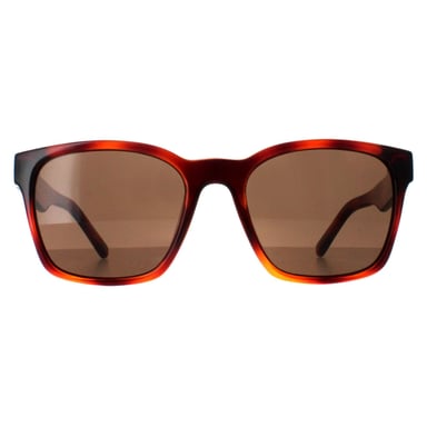 Gafas de sol Salvatore Ferragamo SF959S 214 marrón tortuga