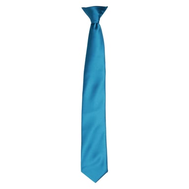 Premier Unisex Adult Satin Tie (Teal)