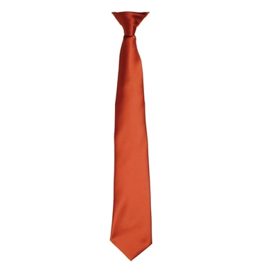 Premier Colours Mens Satin Clip Tie (Chestnut)