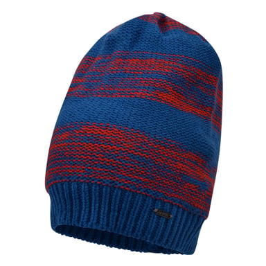 Dare 2B Mens Thesis Beanie