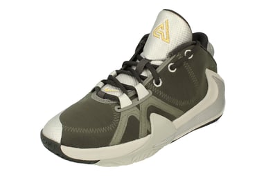 Nike Freak 1 Gs Basketball Grey Trainers