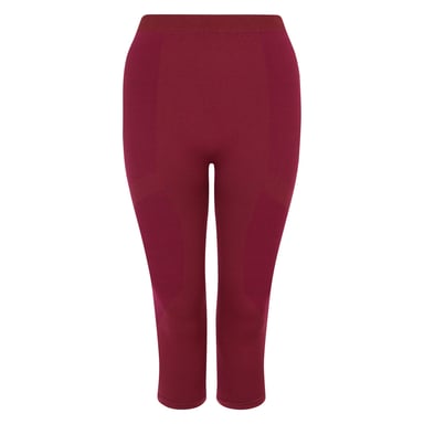 Dare 2B Womens/Ladies In The Zone II Panel 3/4 Leggings (Fig)