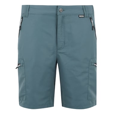 Regatta Mens Leesville III Shorts (Stormy Weather)