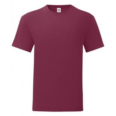 Fruit Of The Loom Mens Iconic T-Shirt (Pack of 5) (Burgundy)