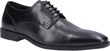 Ezra Plain Toe Shoe